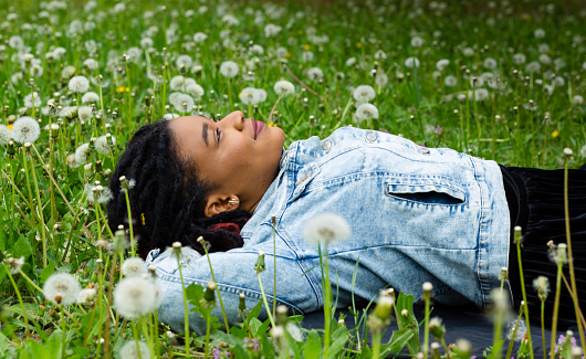Portrait of a young Afro woman who lies in the green grass among fluffy dandelions and smiles. Happy life.