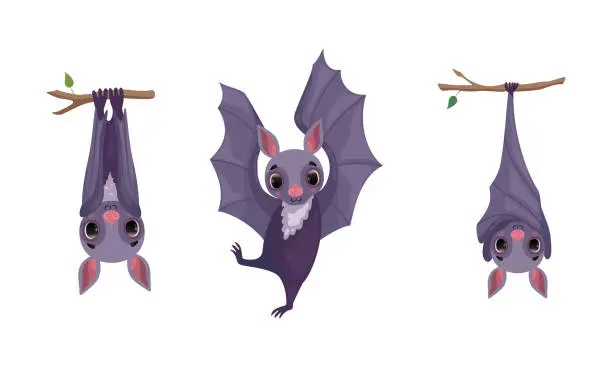 Vector illustration of Funny Purple Bat with Cute Snout Hanging Upside Down on Tree Branch and Dancing Vector Set