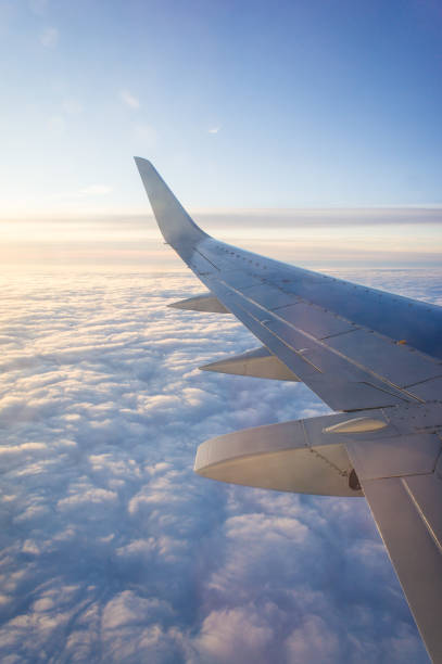 istock Wing passenger planes, blue sky and clouds. Travel concept. 1332135222