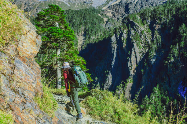 istock female hiker walking in Jade mountain (Yu Shan) 1332136796