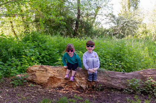 A little boy and a girl wearing sunglasses sitting on an old log in a forest