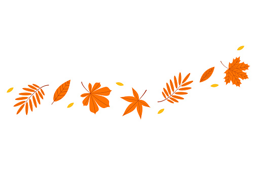 Autumn leaves in the wind. Vector flat illustration on a white background.