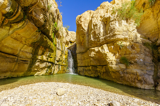 Hidden waterfall, Arugot stream, Ein Gedi Nature Reserve