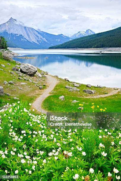 Lago De Montanha No Parque Nacional De Jasper Canadá - Fotografias de stock e mais imagens de Alberta