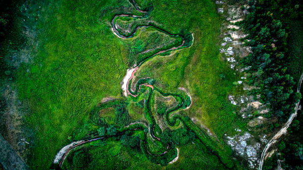istock Lake Zaton, Romania 1332139067