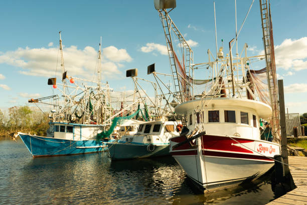 barche di gamberetti ad acadia, louisiana - barca per pesca di gamberetti foto e immagini stock