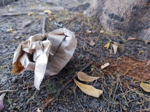 the appearance of nature in our environment