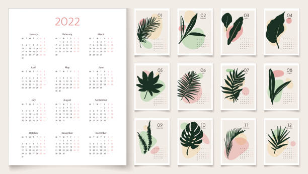 2022 calendar template with palm leaves in pastel colors. set of 12 months - number 12 幅插畫檔、美工圖案、卡通及圖標