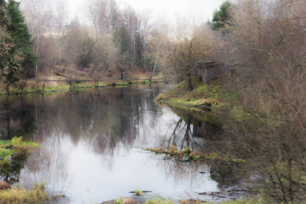 istock Sppring river and bushes in misty haze 1332149052