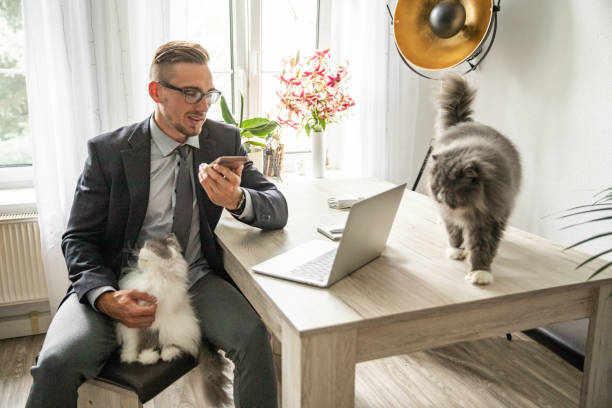 istock Handsome man works in his homeoffice 1332150836