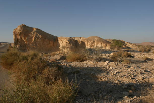 desert arabah sand dune dead sea jordan valley - travel jordan israel sand imagens e fotografias de stock