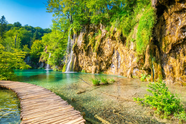 trilha de madeira no parque nacional plitvice, croácia. caminho na floresta perto do lago e cachoeira. natureza fresca e bonita, lugar pacífico. famoso destino turístico. - plitvice lakes national park water lake national park - fotografias e filmes do acervo