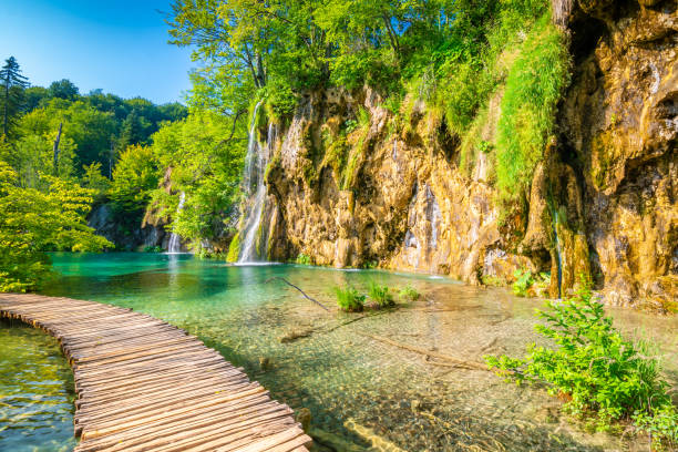 деревянная пешеходная дорожка в плитвицком национальном парке, хорватия. тропинка в лесу возле озера и водопада. свежая красивая природа, с - lake pond stream water стоковые фото и изображения