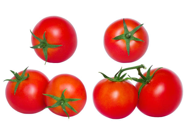 Photo of group of grass tomatoes on a white background, isolate