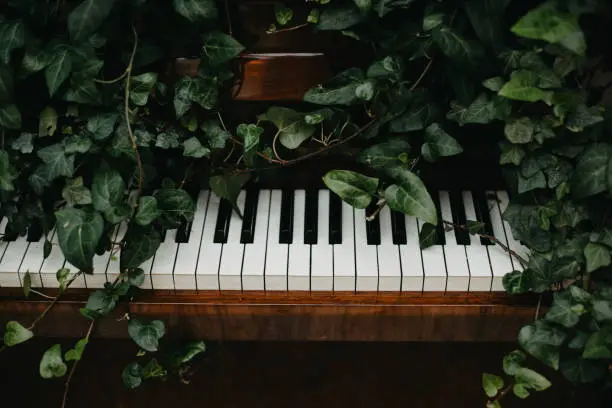 Photo of Wooden retro piano in green leaves.
