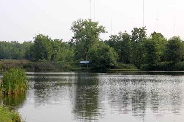 istock Lakeside in the Country 1332156431