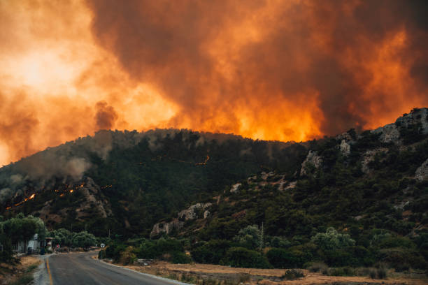 istock Forest Fire in Red Pine Forests at Bodrum Turkey 1332157375