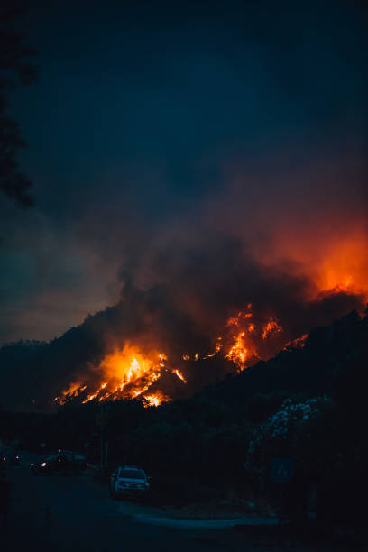 istock Huge Forest Fire in Red Pine Forests 1332160186