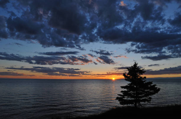 istock Coastal sunset with solitary tree in the foreground 1332160191