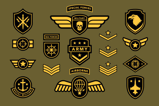 specjalna etykieta insygniów armii izolowanej na białym - air force insignia military armed forces stock illustrations