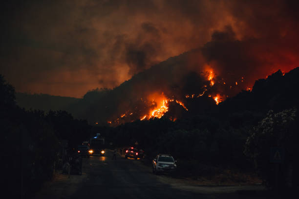 istock Huge Forest Fire in Red Pine Forests 1332160996