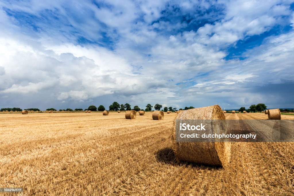 Veld met hooibalen na de oogst in de zomer Field with hay bales after harvest in summer against cloudy sky. Brittany - France Stock Photo