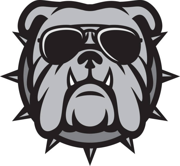 ilustraciones, imágenes clip art, dibujos animados e iconos de stock de cabeza de bulldog con gafas de sol de aviador - bulldog