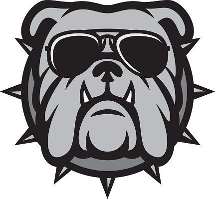 Bulldog head with aviator sunglasses vector illustration