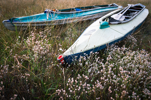 Early morning at the tourist camp. Kayaks on a flowering meadow before the hike.