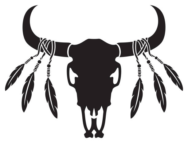 czaszka byka lub krowy rdzennych amerykanów z piórami - horned death dead texas longhorn cattle stock illustrations
