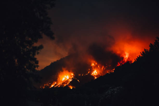 istock Huge Forest Fire in Red Pine Forests 1332162597