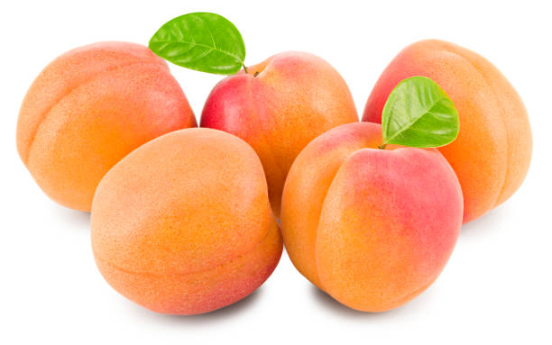 istock apricot fruits with green leaf isolated on white background. clipping path 1332162977