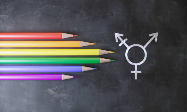트랜스젠더 기호와 연필, 성소수자 깃발의 색 - 성별 기호 뉴스 사진 이미지