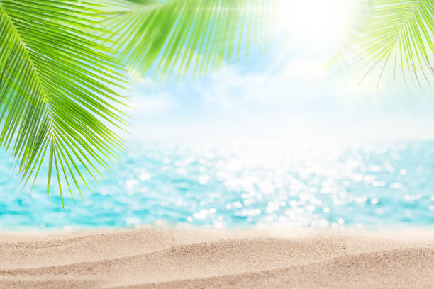 istock Summer sea with sparkling waves and blue sunny sky 1332165223