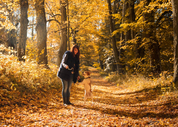 istock Young woman walking with a beagle. 1332168269