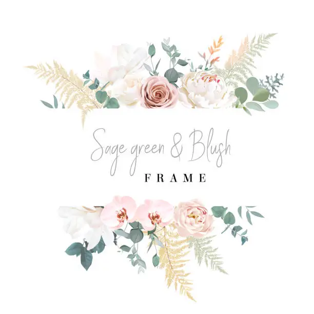 Vector illustration of Silver sage and blush pink flowers vector design frame