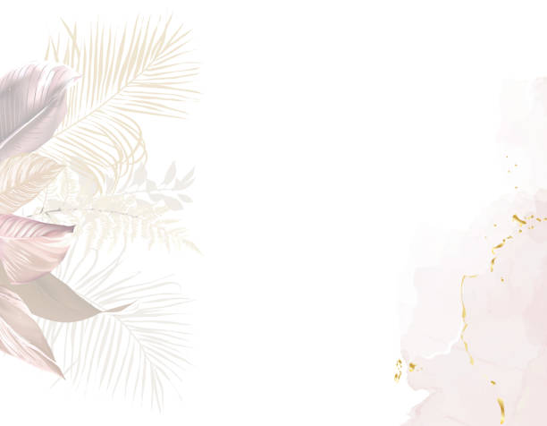 고급스러운 베이지색과 블러쉬 트렌디 �한 벡터 디자인 스퀘어 프레임 - silver fern stock illustrations