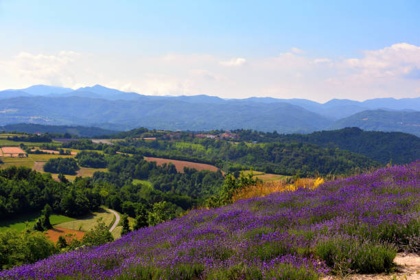 istock sale san Giovanni cuneo Italy 1332170314