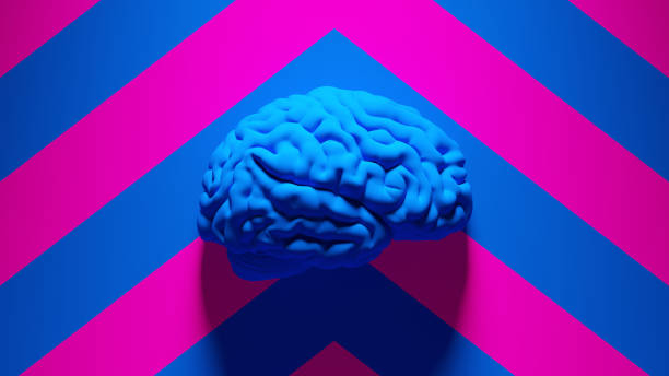 Blue Human Brain with Blue an Pink Chevron Pattern Background Blue Human Brain with Blue an Pink Chevron Pattern Background 3d illustration render neuroscience stock pictures, royalty-free photos & images