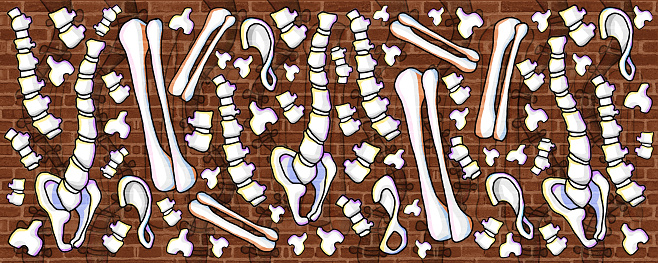 human skeleton and bone pattern creative design wall paint.lifeless but beautiful remains.to decorate it beautifully.