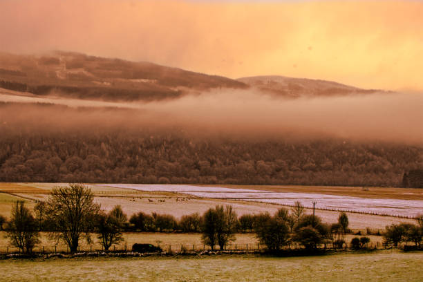 istock Farms view on winter in Pitlochry - farm snow sunset 1332182629