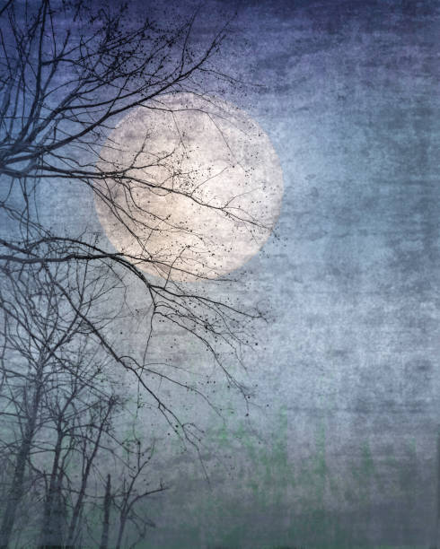 istock Full Moon, Tree Silhouette, Night Sky Fantasy - Atmospheric Mood 1332182968