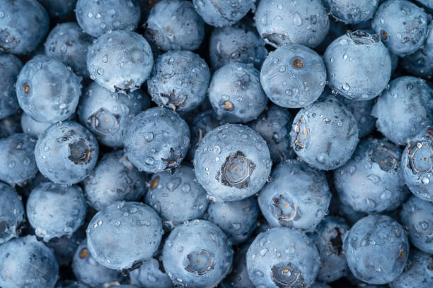 istock Close up background of blueberries 1332188702