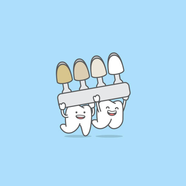 illustrazioni stock, clip art, cartoni animati e icone di tendenza di cartone animato dentale di amichevoli denti bianchi che tengono su una tonalità guidano il colore dei denti con l'amico dei denti. illustrazione cartoon carattere vettoriale design su sfondo blu. concetto di cura dentale. - sbiancamento dentale