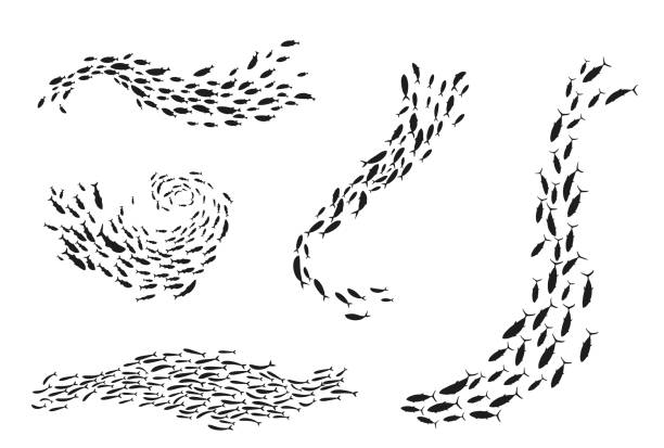 stockillustraties, clipart, cartoons en iconen met school of fish silhouette underwater flow set - school vissen