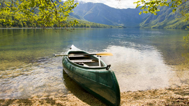 자연의 카약 - julian alps lake bohinj lake bohinj 뉴스 사진 이미지