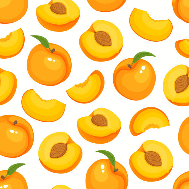 Vector pattern with cartoon peaches isolated on white. Vector seamless pattern with cartoon peaches isolated on white. Bright slice of tasty fruits. Illustration used for magazine, kitchen textile, greeting cards, menu cover, web pages. apricot stock illustrations