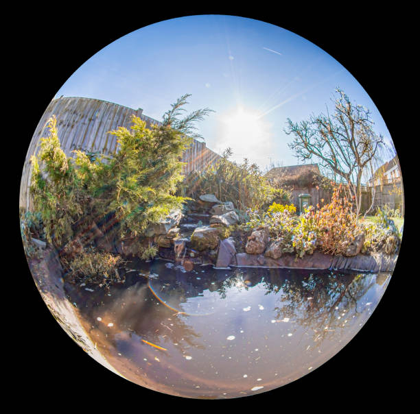 Fish eye lens image of a pond and waterfall water feature in a back garden. Fish eye lens image of a pond and waterfall water feature in a back garden. fish eye lens photos stock pictures, royalty-free photos & images
