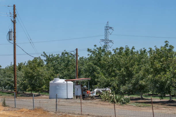 ирригационное оборудование в калифорнийском ореховом саду - american walnut стоковые фото и изображения