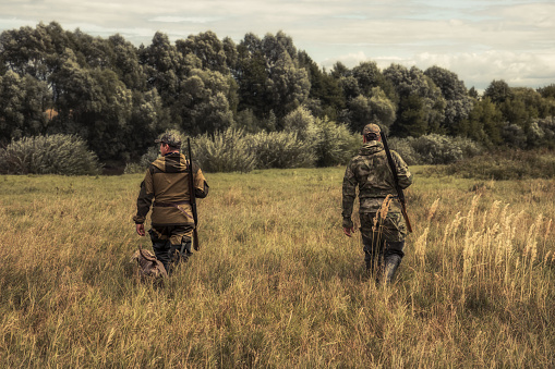 Cazadores que van a través del campo rural hacia el bosque durante la temporada de caza photo